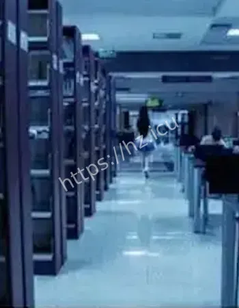 天津图书馆诅咒